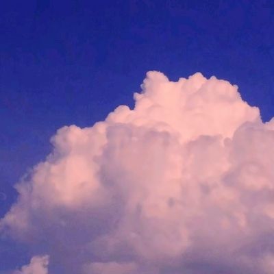 绿毒至尊传奇游戏(暂未上线)v2.1 安卓版