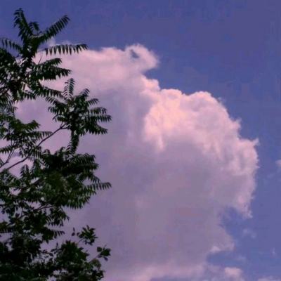 王的崛起4399版下载